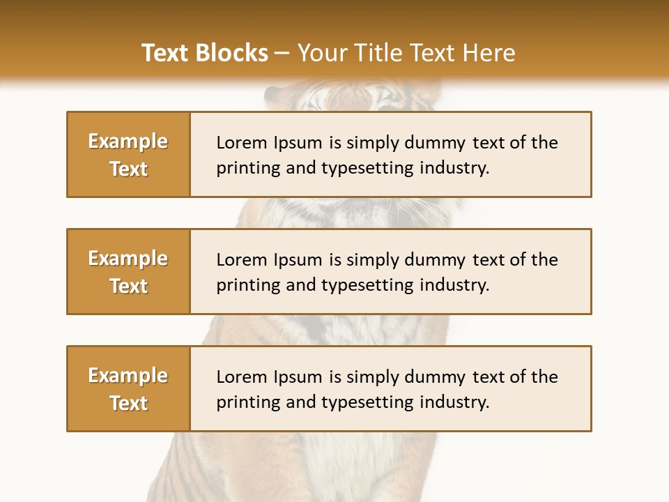 Big Carnivore Wild PowerPoint Template