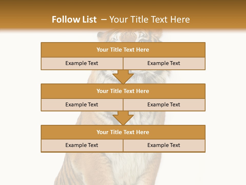 Big Carnivore Wild PowerPoint Template