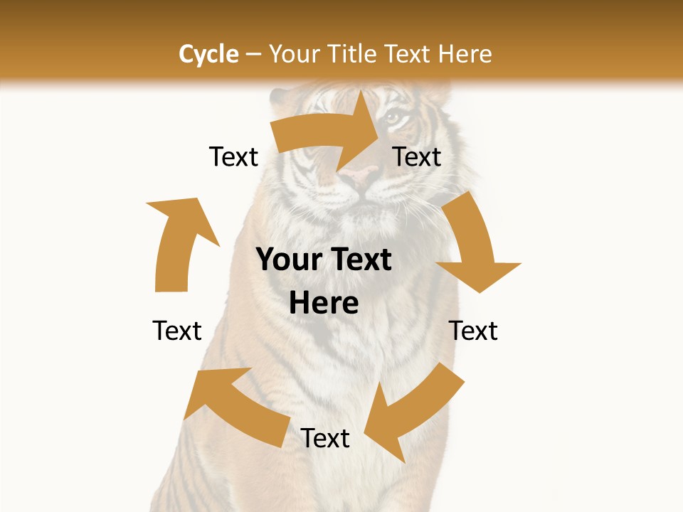 Big Carnivore Wild PowerPoint Template