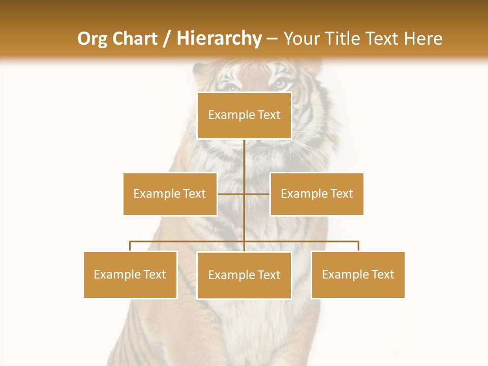 Big Carnivore Wild PowerPoint Template