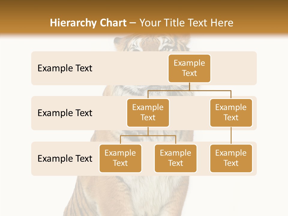 Big Carnivore Wild PowerPoint Template