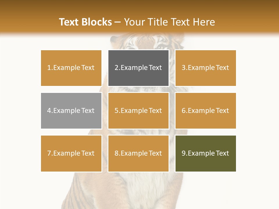 Big Carnivore Wild PowerPoint Template