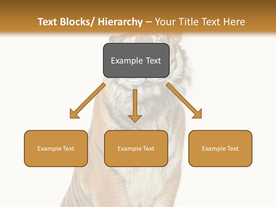 Big Carnivore Wild PowerPoint Template
