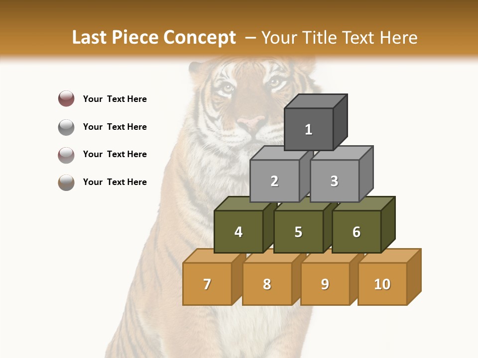 Big Carnivore Wild PowerPoint Template