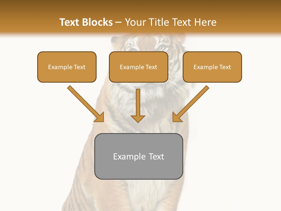 Big Carnivore Wild PowerPoint Template