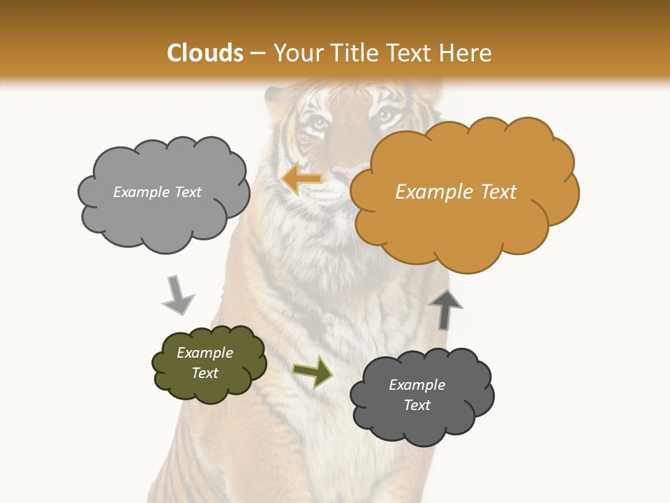 Big Carnivore Wild PowerPoint Template