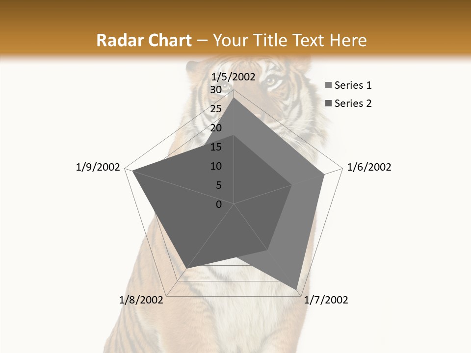 Big Carnivore Wild PowerPoint Template