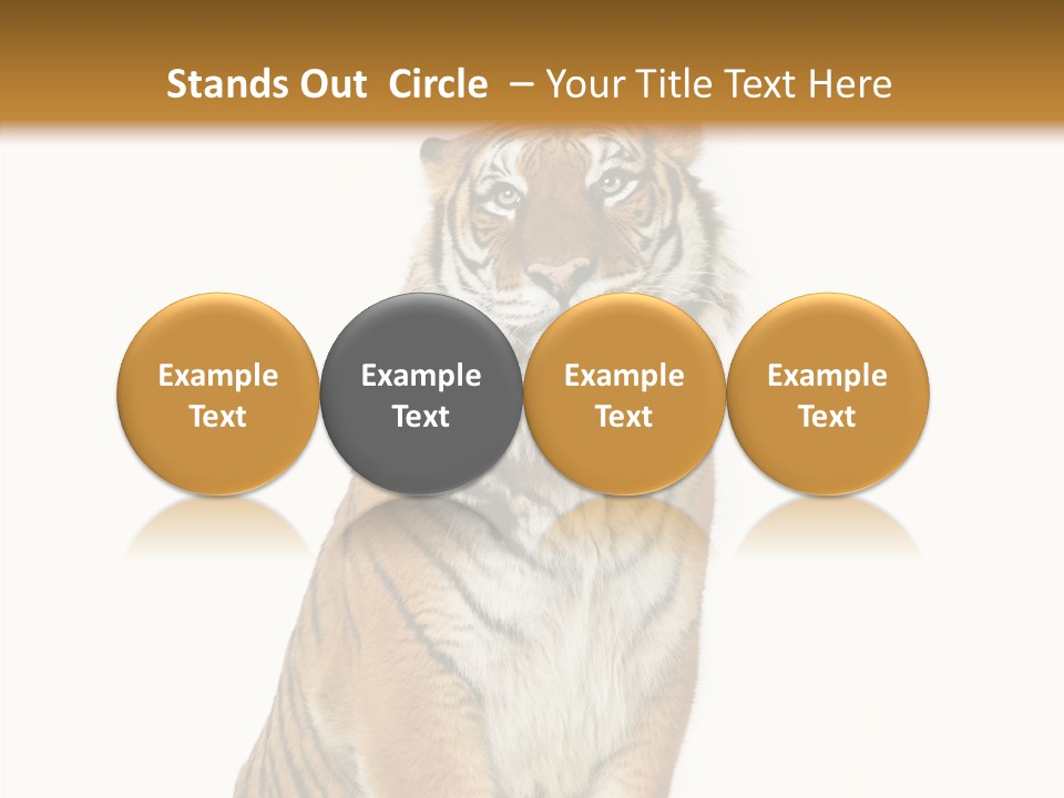 Big Carnivore Wild PowerPoint Template