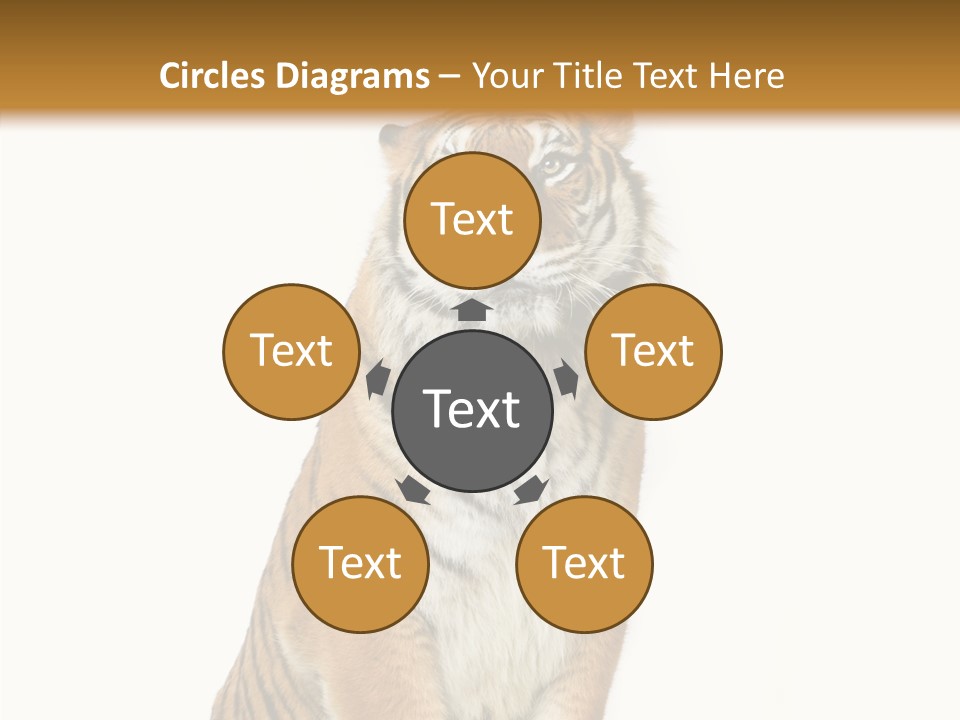 Big Carnivore Wild PowerPoint Template