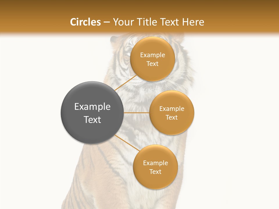 Big Carnivore Wild PowerPoint Template