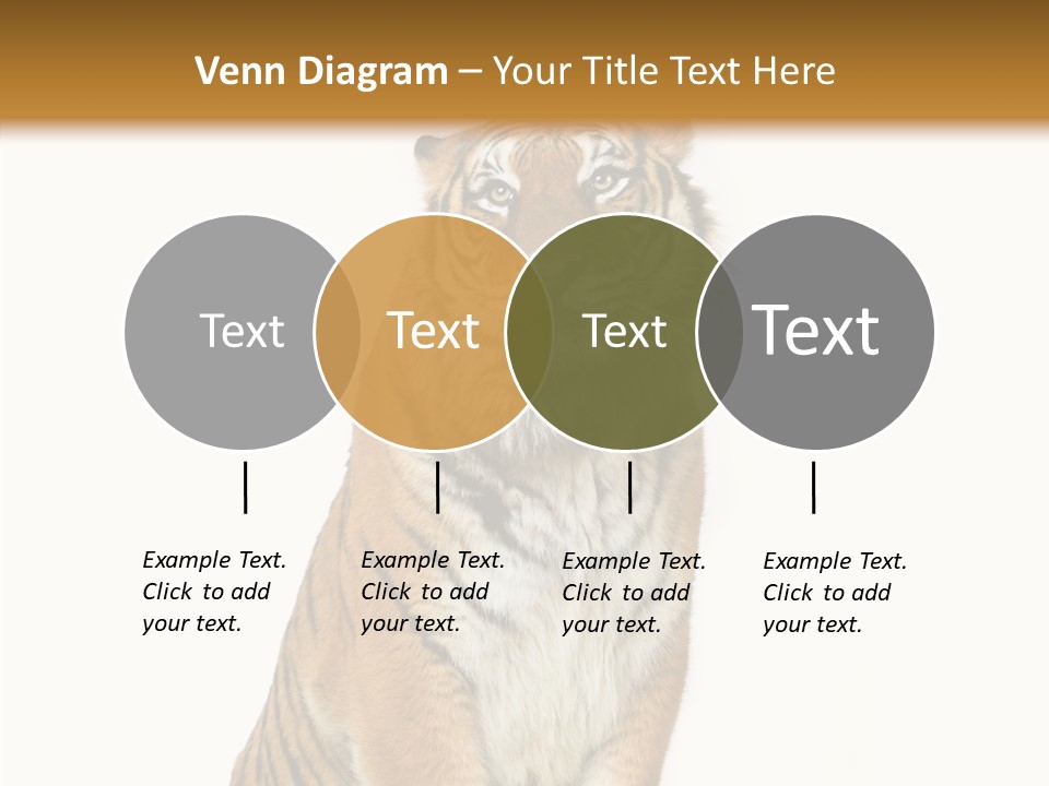Big Carnivore Wild PowerPoint Template