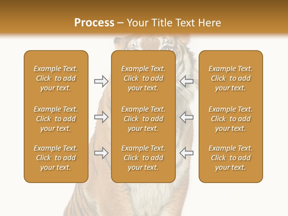 Big Carnivore Wild PowerPoint Template