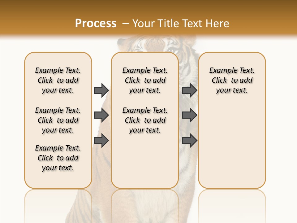 Big Carnivore Wild PowerPoint Template
