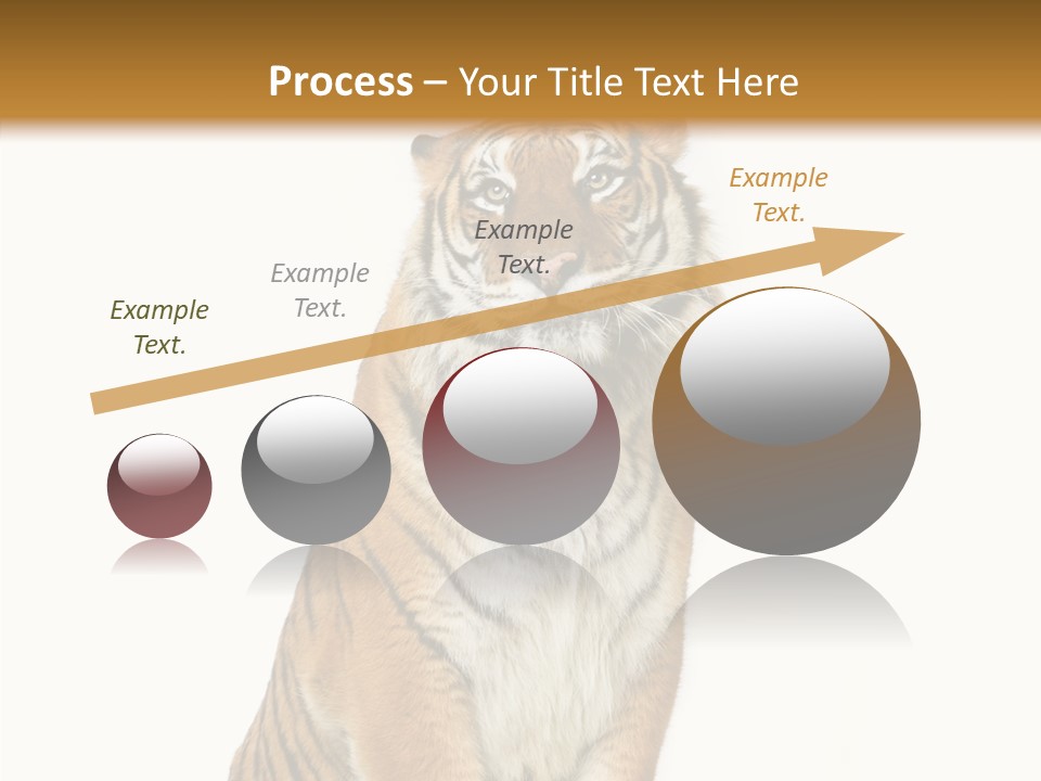 Big Carnivore Wild PowerPoint Template