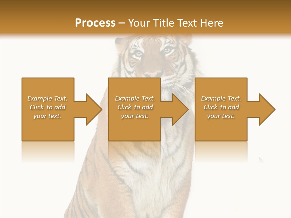 Big Carnivore Wild PowerPoint Template