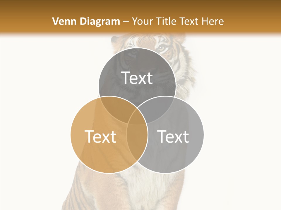Big Carnivore Wild PowerPoint Template