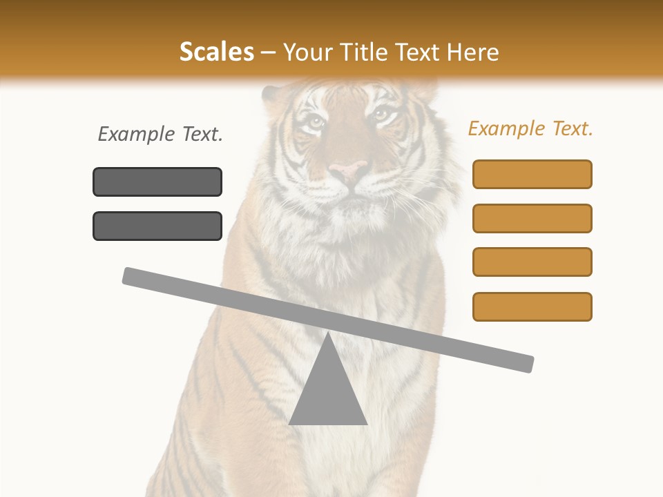 Big Carnivore Wild PowerPoint Template
