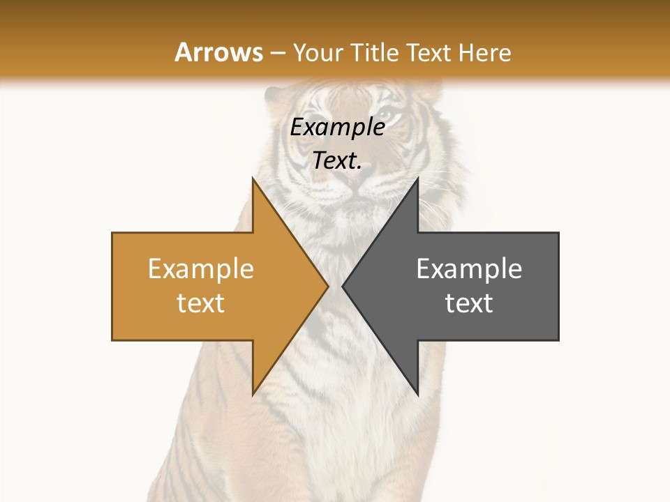 Big Carnivore Wild PowerPoint Template