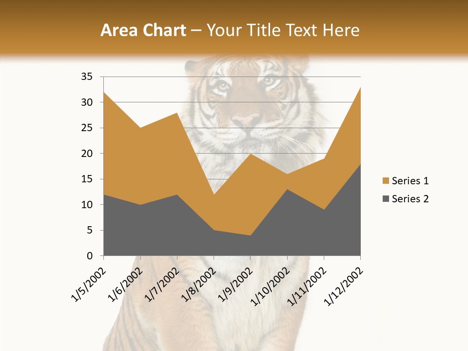 Big Carnivore Wild PowerPoint Template