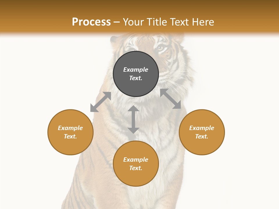 Big Carnivore Wild PowerPoint Template