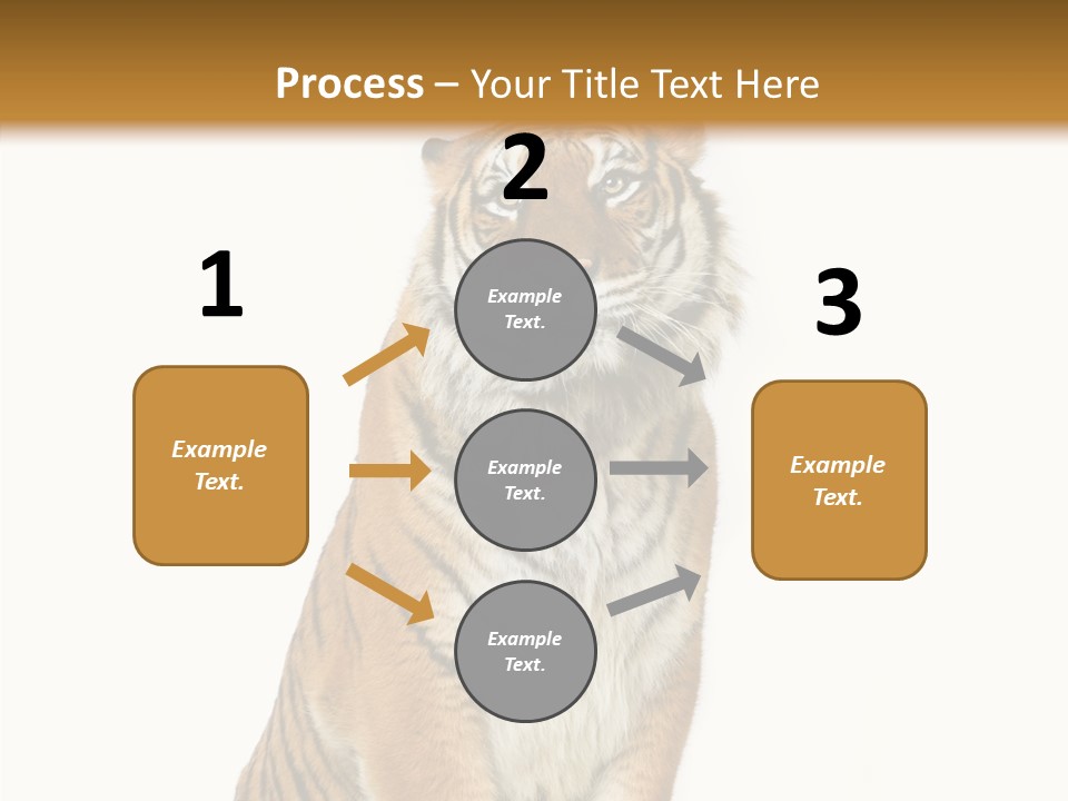 Big Carnivore Wild PowerPoint Template