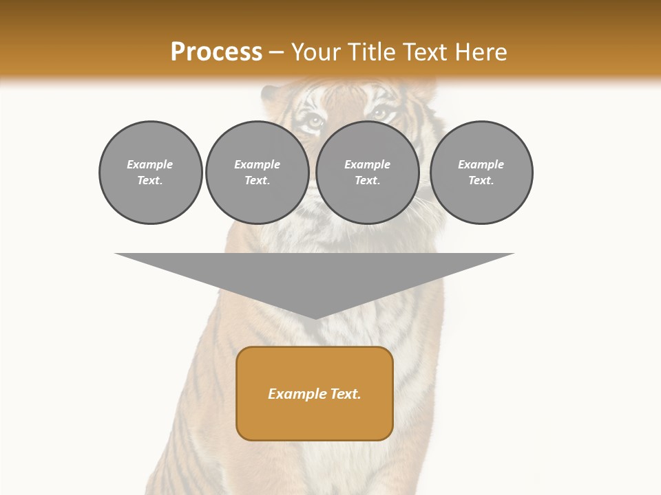 Big Carnivore Wild PowerPoint Template