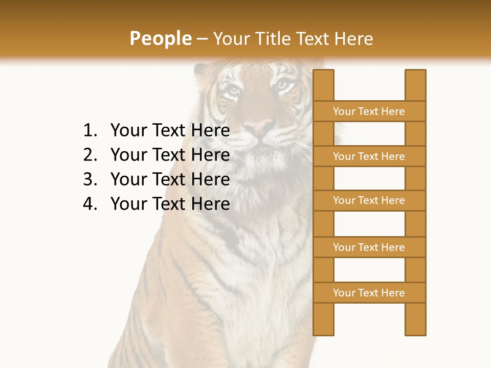 Big Carnivore Wild PowerPoint Template