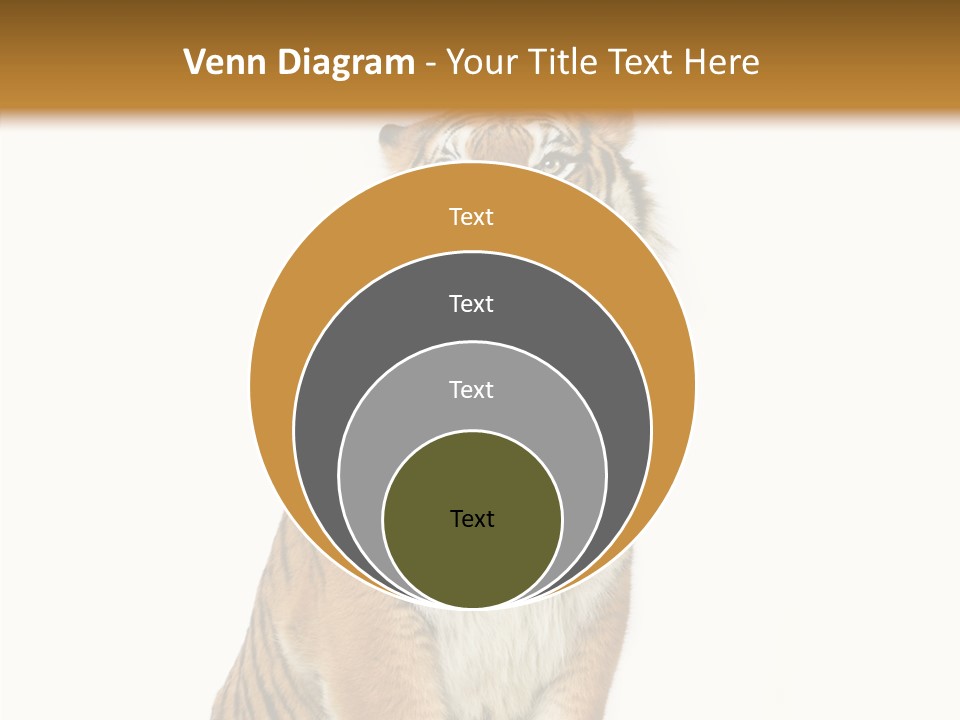 Big Carnivore Wild PowerPoint Template