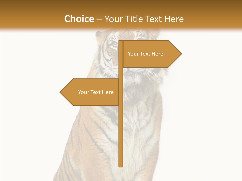 Big Carnivore Wild PowerPoint Template