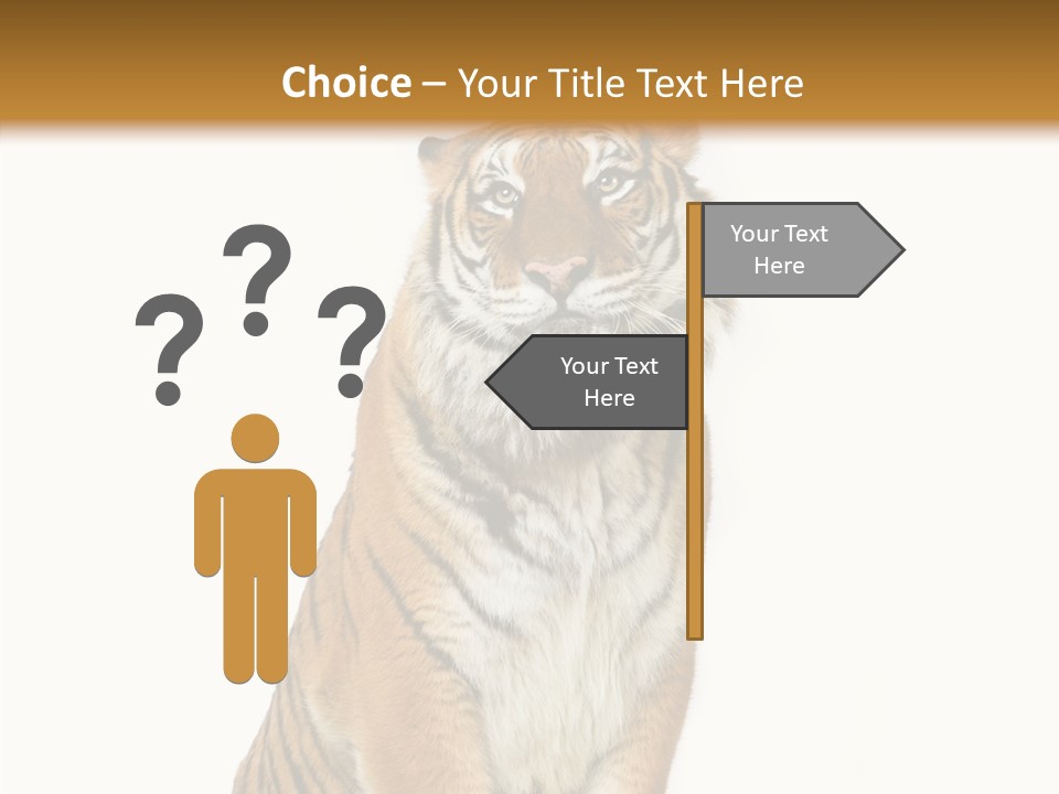Big Carnivore Wild PowerPoint Template