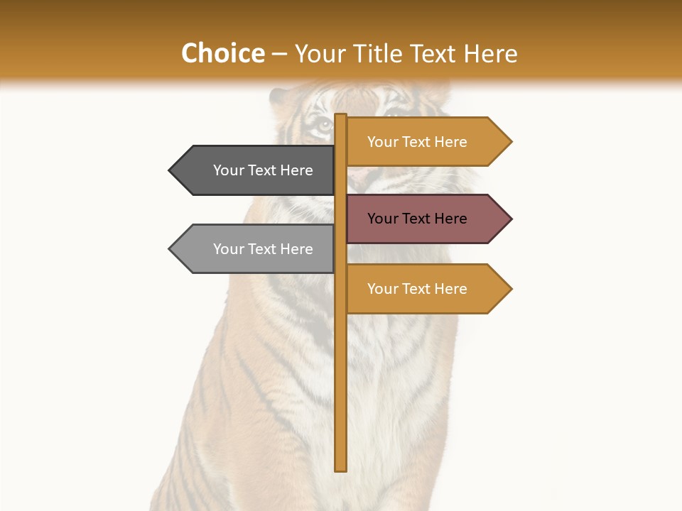 Big Carnivore Wild PowerPoint Template