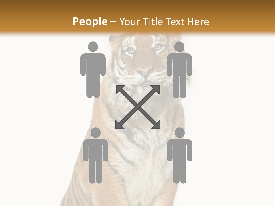 Big Carnivore Wild PowerPoint Template