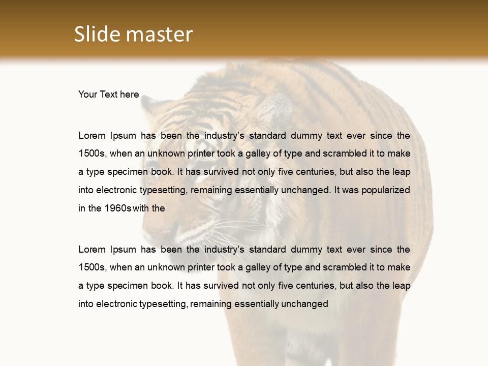 Hunter Furry Cat PowerPoint Template