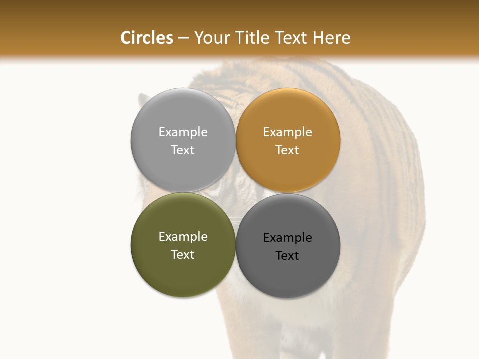 Hunter Furry Cat PowerPoint Template