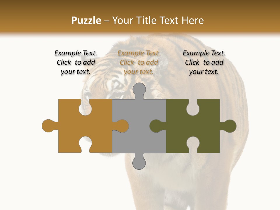 Hunter Furry Cat PowerPoint Template