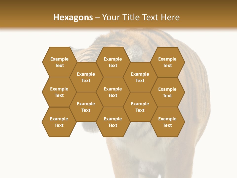 Hunter Furry Cat PowerPoint Template