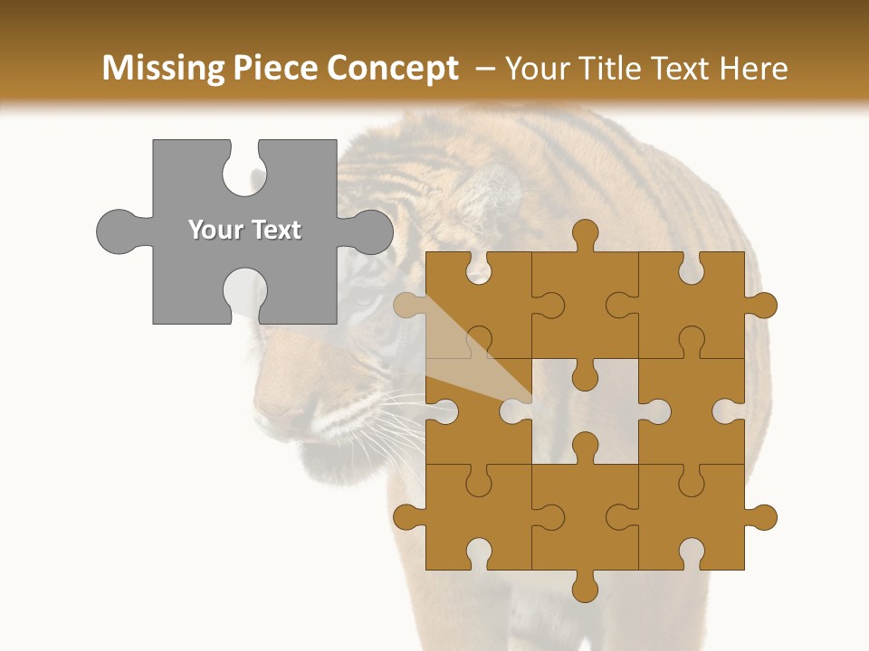 Hunter Furry Cat PowerPoint Template