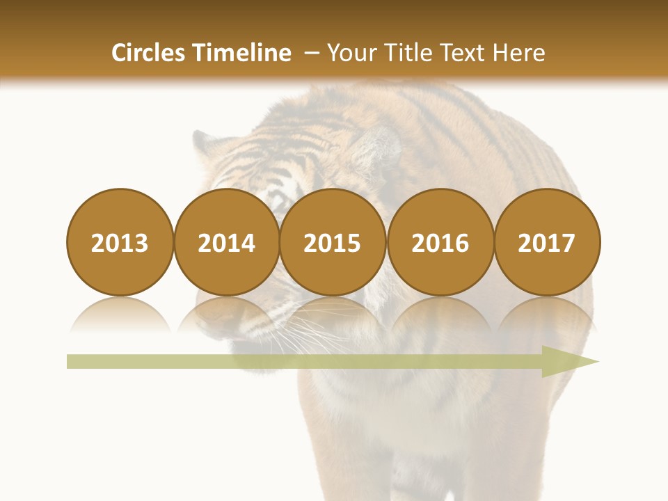 Hunter Furry Cat PowerPoint Template