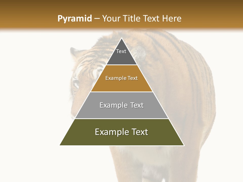 Hunter Furry Cat PowerPoint Template