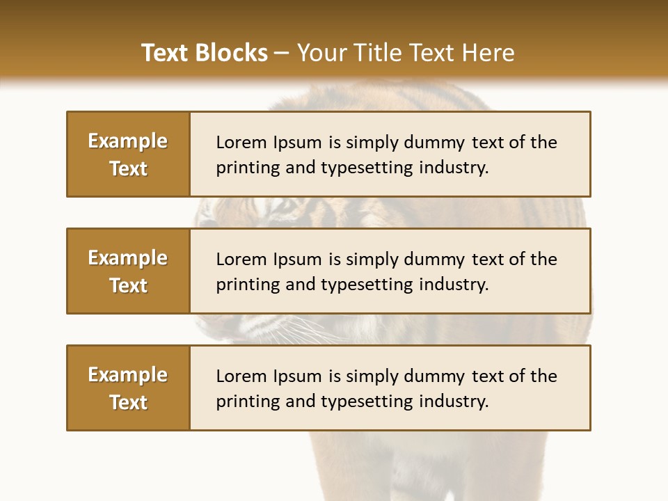 Hunter Furry Cat PowerPoint Template