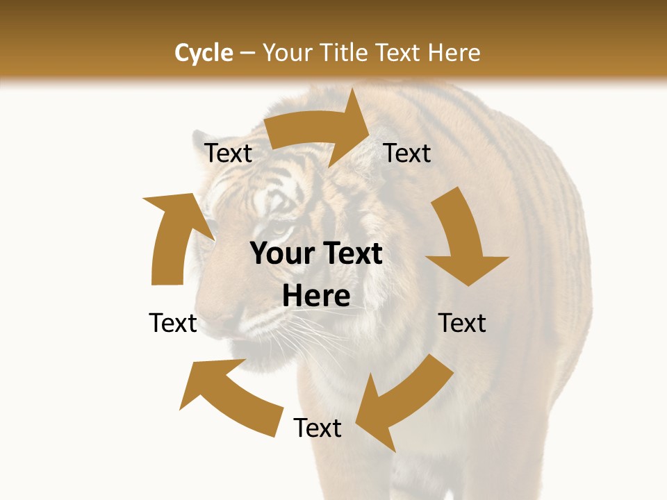 Hunter Furry Cat PowerPoint Template