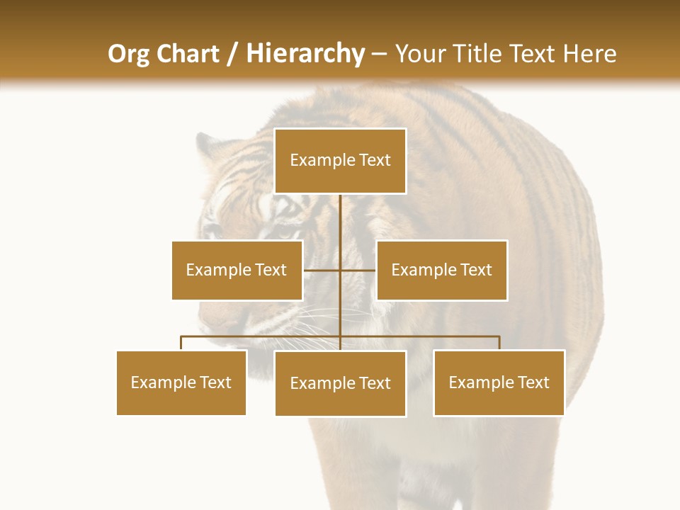 Hunter Furry Cat PowerPoint Template