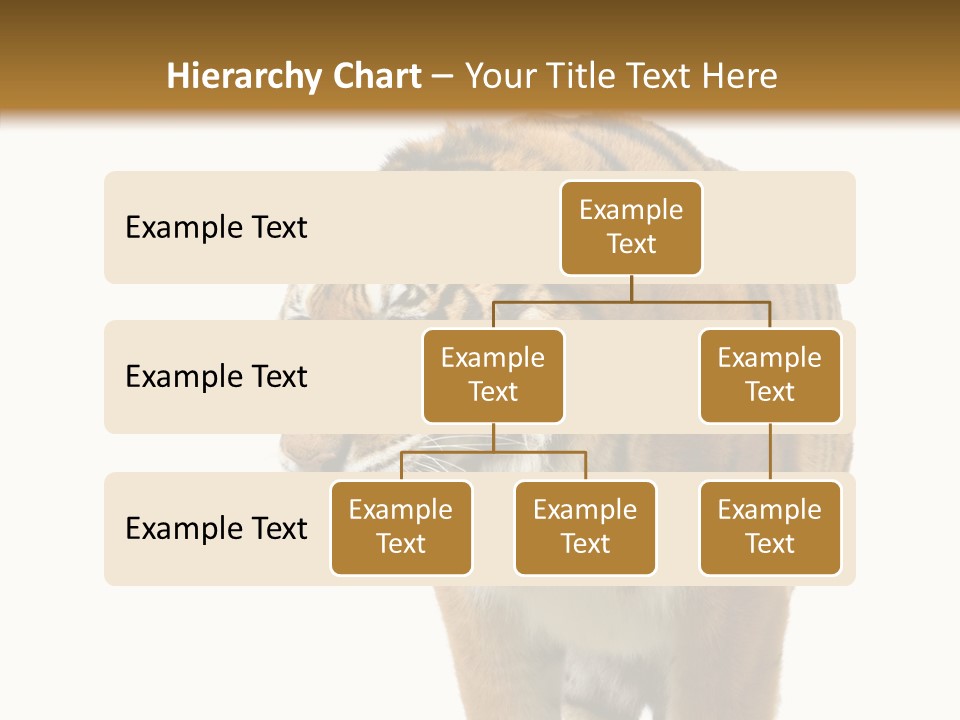 Hunter Furry Cat PowerPoint Template