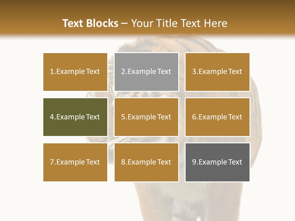 Hunter Furry Cat PowerPoint Template