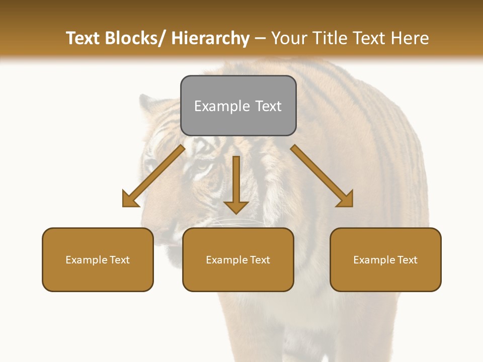 Hunter Furry Cat PowerPoint Template