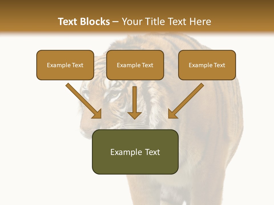 Hunter Furry Cat PowerPoint Template