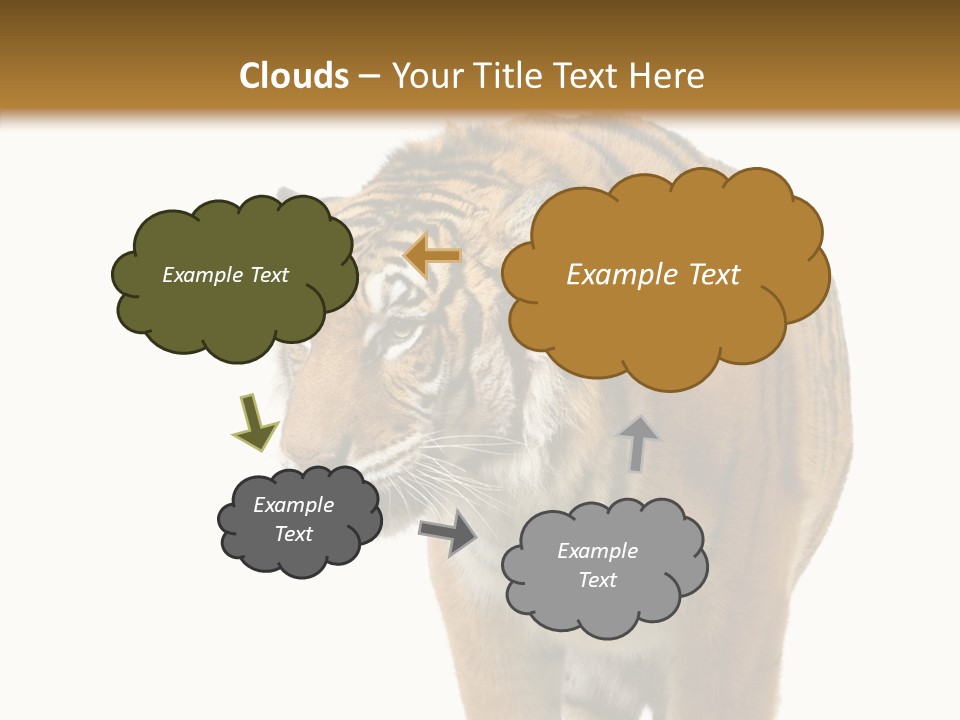 Hunter Furry Cat PowerPoint Template