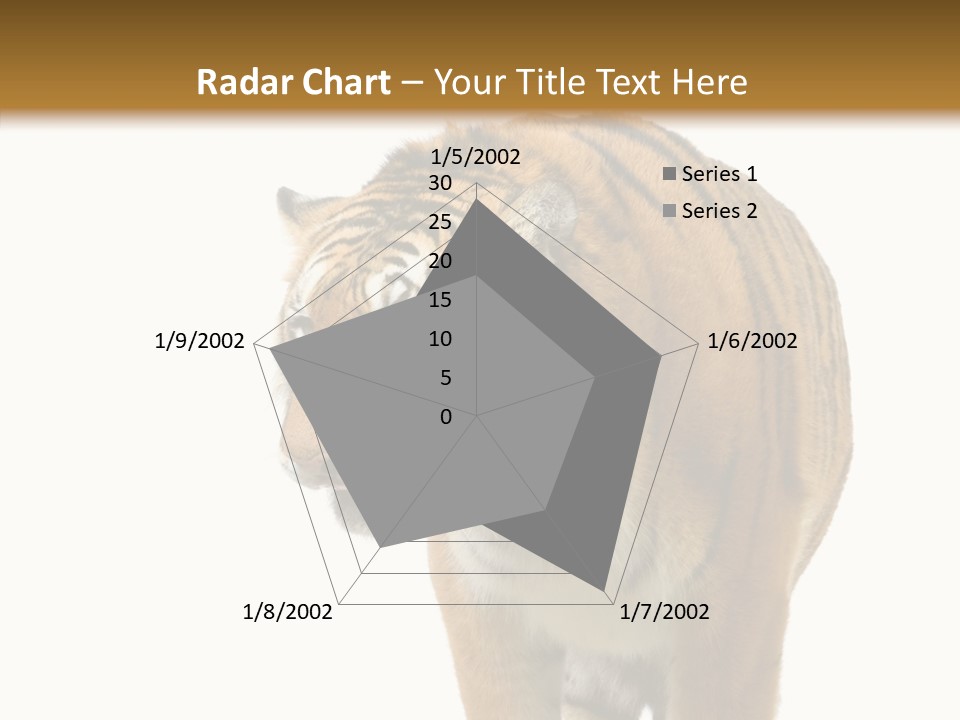 Hunter Furry Cat PowerPoint Template