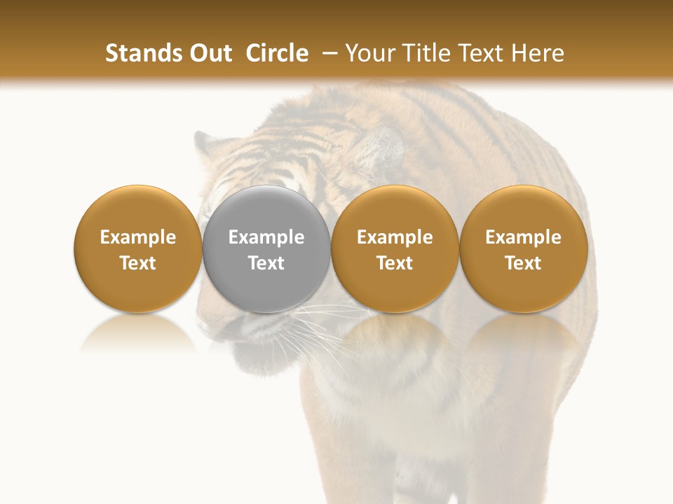 Hunter Furry Cat PowerPoint Template