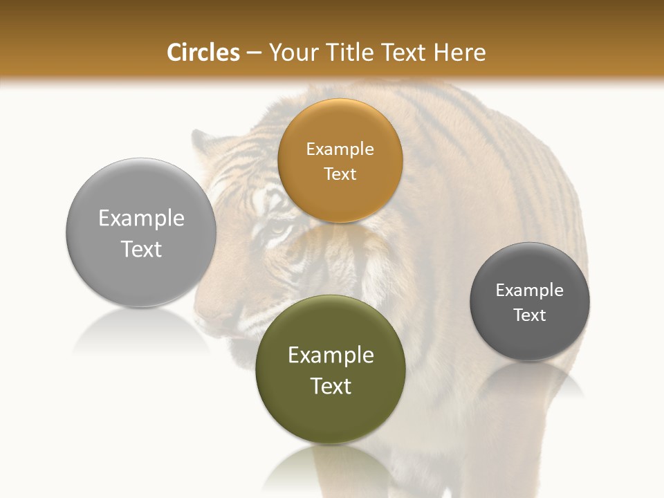 Hunter Furry Cat PowerPoint Template